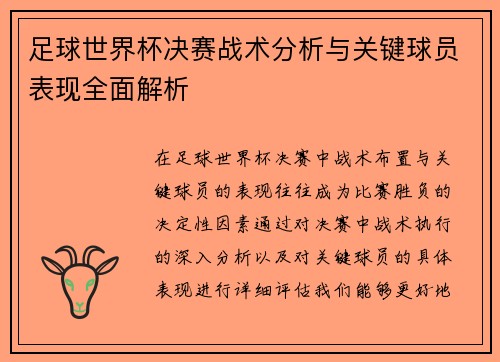 足球世界杯决赛战术分析与关键球员表现全面解析